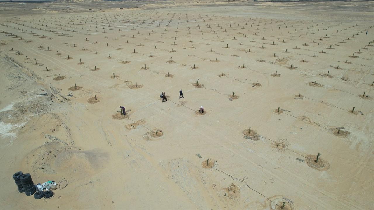 المرحلة الأولى: امتلاك الأرض