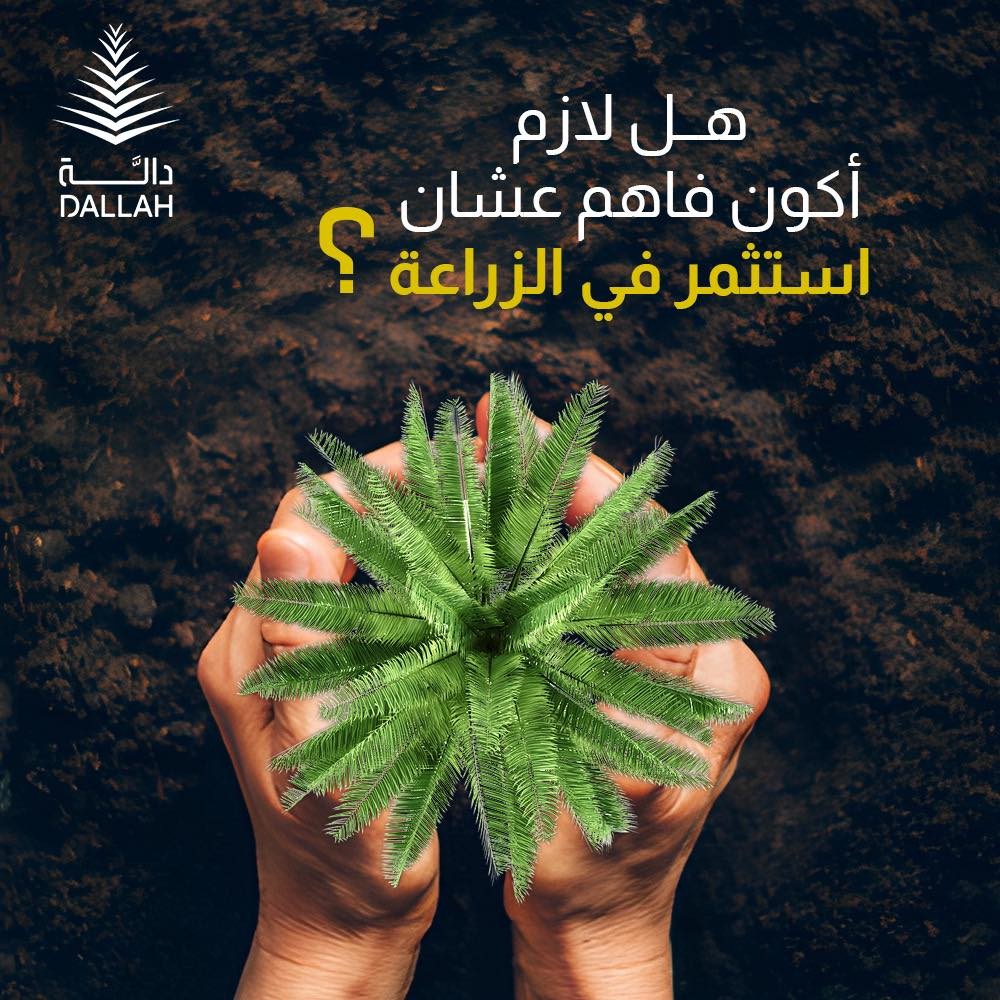 هل لازم اكون فاهم عشان استثمر في الزراعة