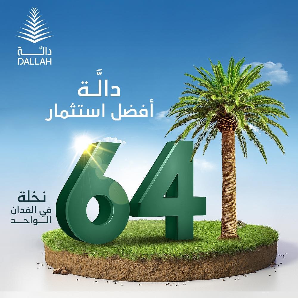 دالة بتقدم لكل مستثمر 64 نخلة في كل فدان